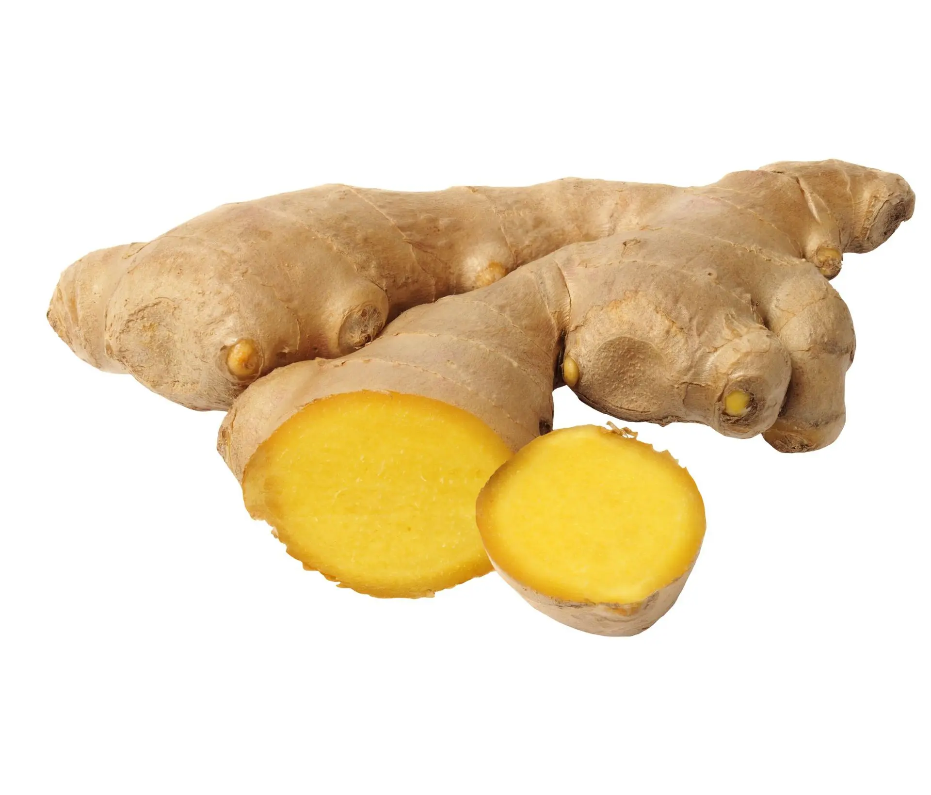 Ingwerwurzel