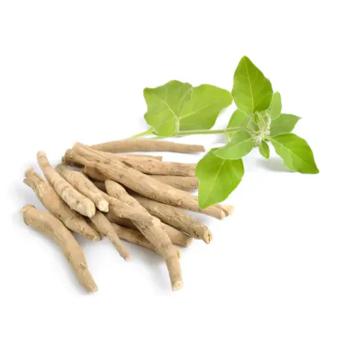 Bio Ashwagandha Kapseln