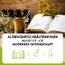 Altbewährt_und_modern.webp