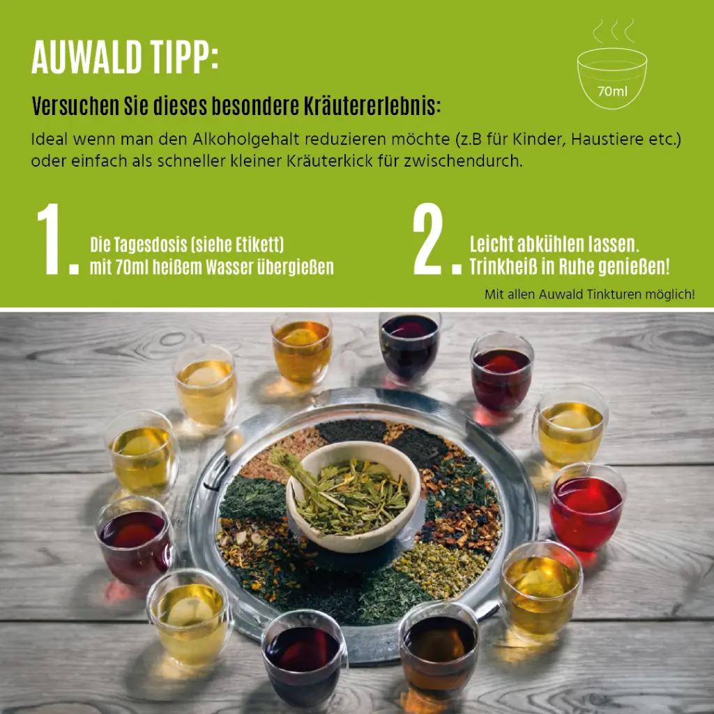 Zeichenfläche 1.webp