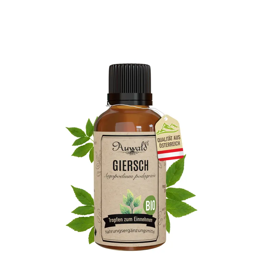 Giersch Tinktur BIO 30ml (Giersch Extrakt)