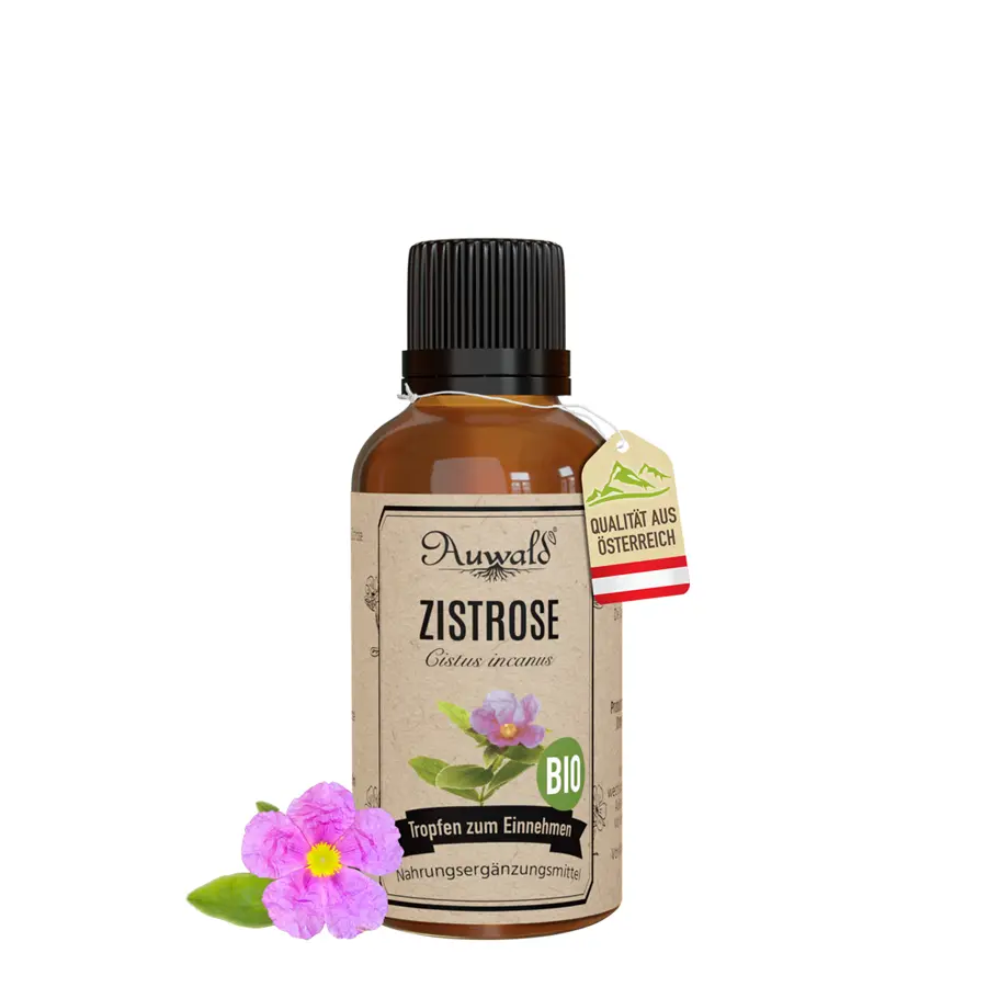 Zistrose Tinktur BIO 30ml (Zistrose Extrakt)
