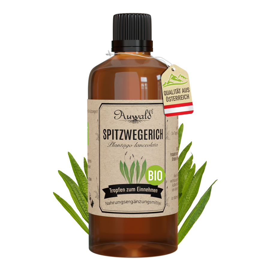 Spitzwegerich Tinktur BIO 100ml (Spitzwegerich Extrakt)