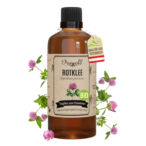 Rotklee Tinktur BIO 100ml (Rotklee Extrakt)