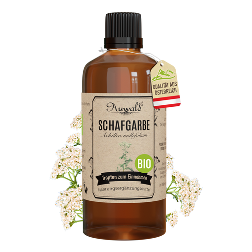 Schafgarbe Tinktur BIO 100ml (Schafgarbe Extrakt)