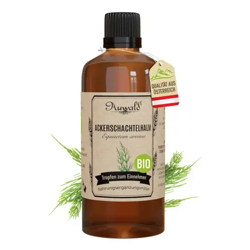 Ackerschachtelhalm Tinktur BIO 100ml (Ackerschachtelhalm Extrakt)